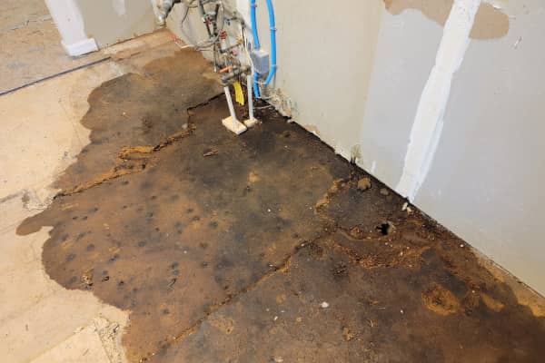 Slab Leak Detection and Repair Services